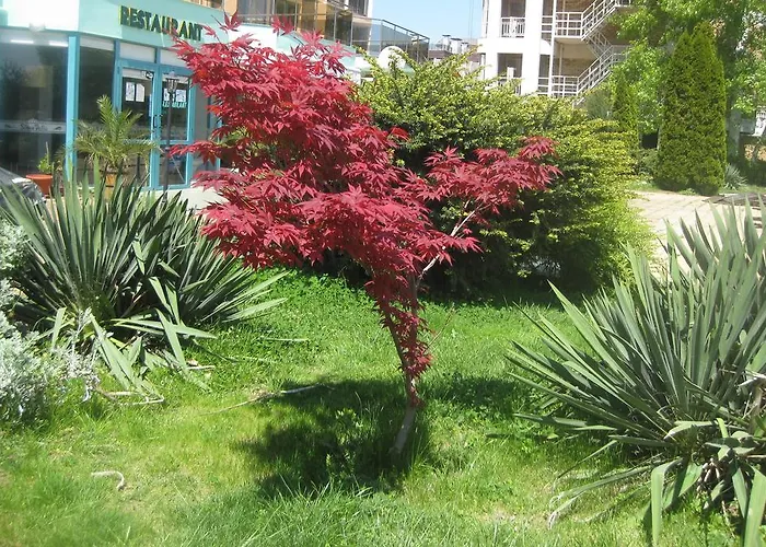 Arcadia アパート