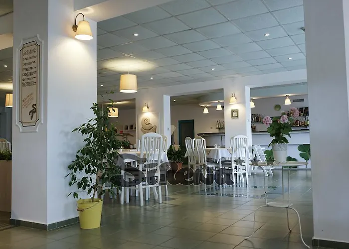 Arcadia * サニービーチ