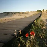 Arcadia ساني بيتش