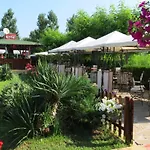 Arcadia ساني بيتش