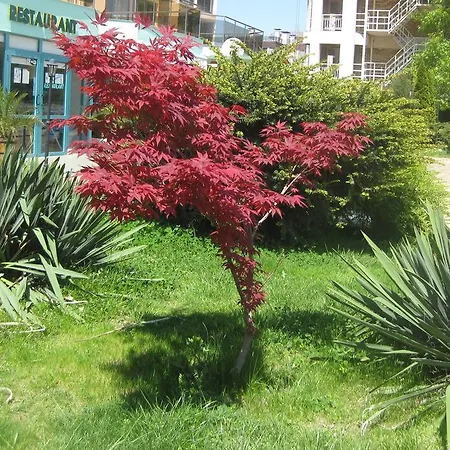 Sirena Hotel 公寓