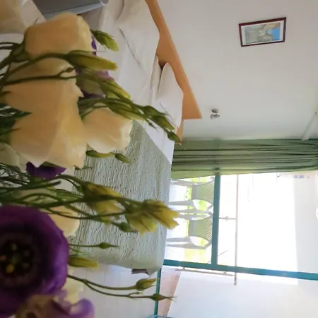 호텔 Sirena Hotel