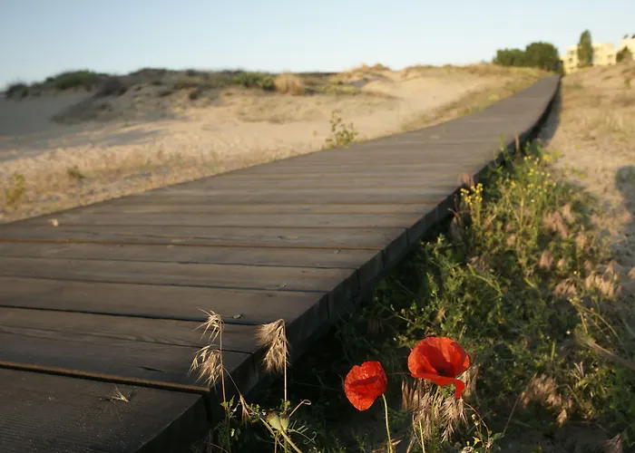 Arcadia Солнечный берег