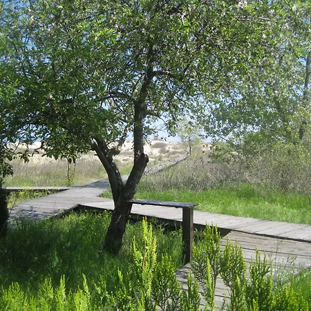 Arcadia Apartments * Sunny Beach