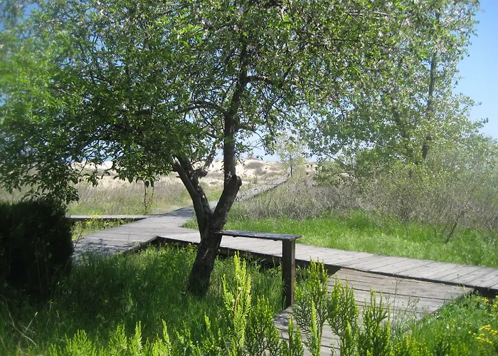 Arcadia Apartments * Sunny Beach