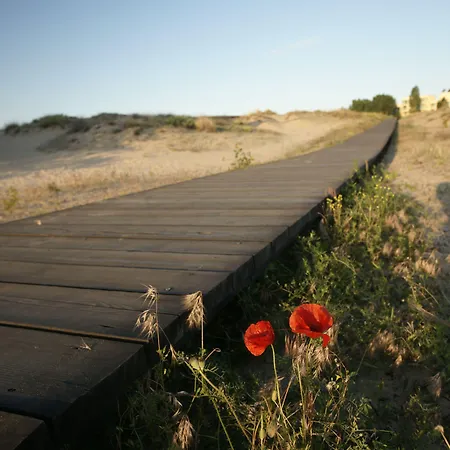 Sirena Słoneczny Brzeg